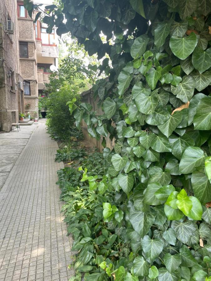 Old City Centre - Unforgettable House Bucureşti Ngoại thất bức ảnh